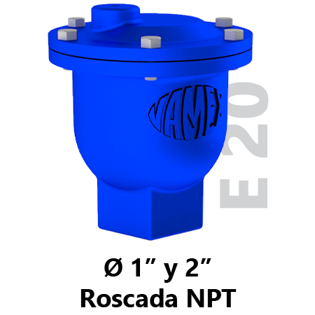 e20